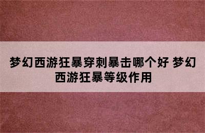 梦幻西游狂暴穿刺暴击哪个好 梦幻西游狂暴等级作用